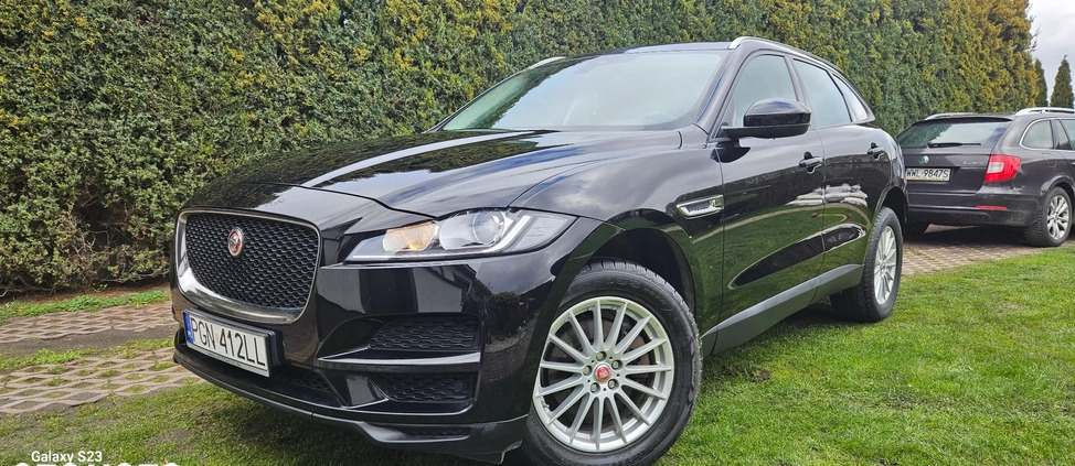 Jaguar F-Pace cena 102900 przebieg: 125150, rok produkcji 2018 z Trzemeszno małe 704